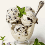 Homemade Mint Chocolate Chip Ice Cream Recipe