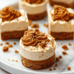 Vegan No-Bake Biscoff Cheesecake Bites
